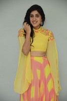 Dhanya Balakrishna New Photo Images